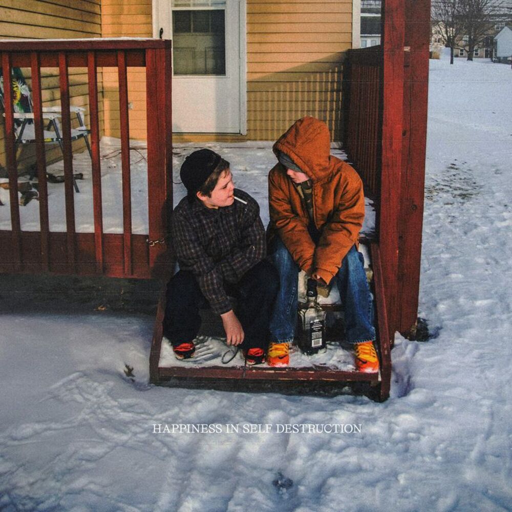 The Plot in You - Happiness In Self Destruction  LP LP